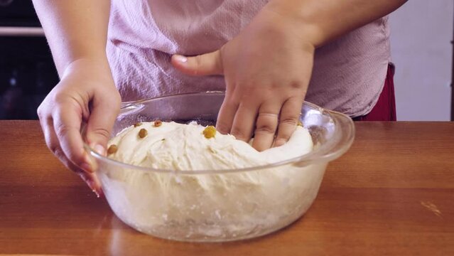 The hands of a Jewish woman mix raisins in a glass bowl into the dough for challah. Medium plan
