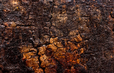textura de madera antigua color café