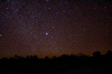 dark sky with million of stars an silhouettes of forest in mexiquillo durango 