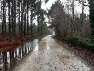 Inundación en un camino rural en Galicia