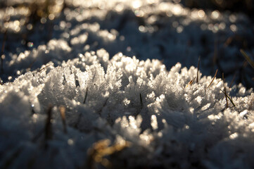 Raureif, Eis, Eiskristalle in gefrorener Wiese im Winter