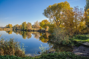 Shore of a lake with a tree against the sky.