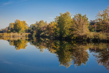 Shore of a lake with a tree against the sky.