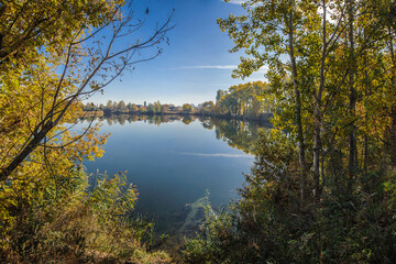 Shore of a lake with a tree against the sky.