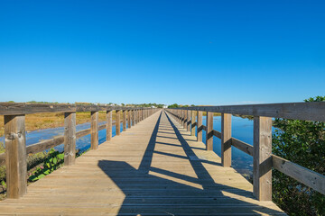 Fototapeta premium walkway to the beach