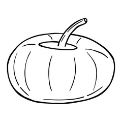 doodle line art illustration of a pumpkin