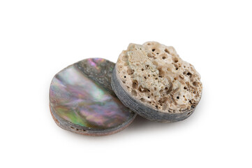 Two plates of mother-of-pearl, the inner layer of a clam shell