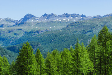 The mountains and woods of the natural park Alpe veglia - alpe devero, during a sunny day, near the town of Baceno, Italy - June 2022.