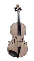 Fototapeta na wymiar Brown classical violin on a white background. 3d rendering.