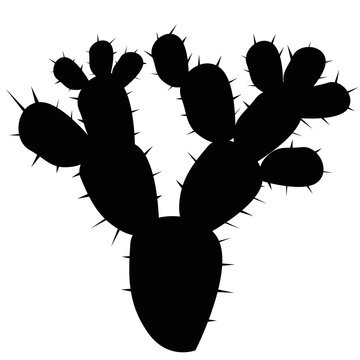 Cactus Silhouette Cactus Silhouette