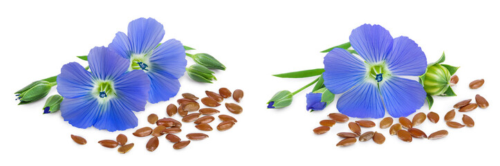 flax seeds with flower isolated on white background
