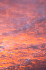 beautiful morning sky filled with crimson and orange colors , autumn sunrise background.
