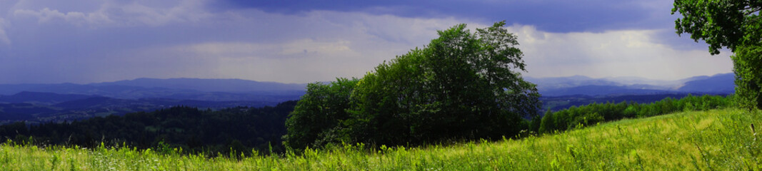 panorama of the mountains