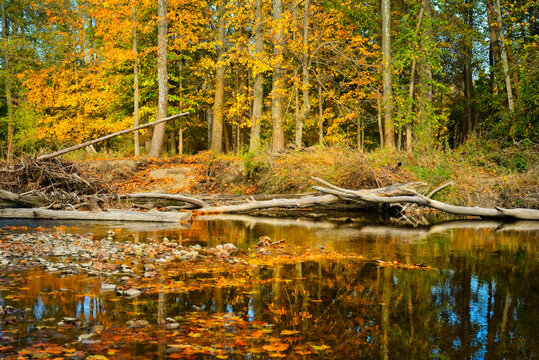 Placid Autumn River In Northeast Ohio