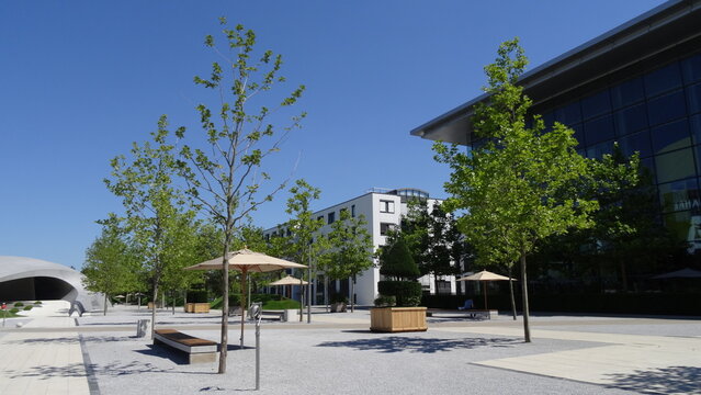 Trees and the sky at autostadt in wolfsburg, germany
