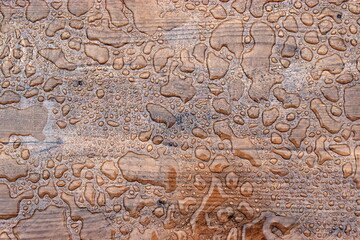 Regenwaser auf einer Kunstholzfläche