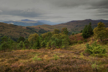 Viewpoint  on the Great Glen Way near to Invermoritson in the Scottish Highlands