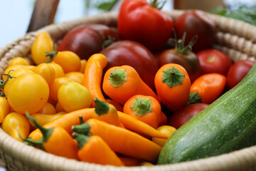 Fototapeta na wymiar Colorful home-grown vegetables in wicker basket vegetable rainbow 