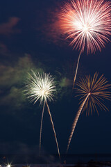 fireworks in the sky