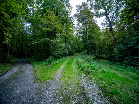 Rückeweg Bilder Durchsuchen 1,121 Archivfotos, und