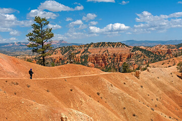 Hiking Into Red Rock Country