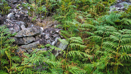 Armadale Burn broch