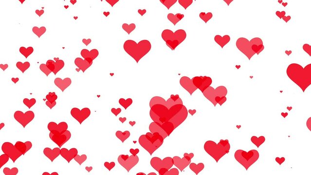 Red hearts fly on white background. 2D animation