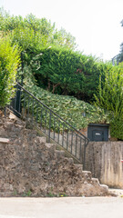 Obraz premium Escalera de piedra en jardín de casa rural