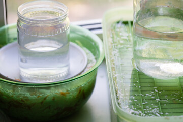 Pickling sauerkraut in plastic containers on the windowsill, glass jars with water, close-up. The concept of food from fermented canned vegetables