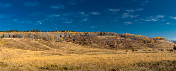Fall colours in the valley. Ghost Land Use Area, Alberta, Canada