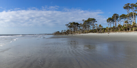 Wide sandy beach at low tide, sunny morning with blue skies, white clouds and palmetto palm trees panorama, horizontal aspect - Powered by Adobe