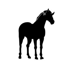 horse shape 