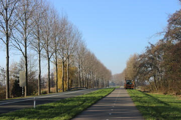 Beautiful landscape of autumn in the park by the road in Netherlands 