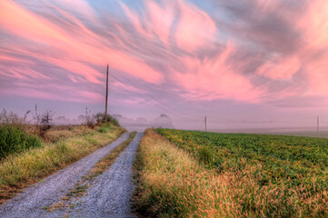 Lonely Country Road heading into the mist with dazzling colors in the sky on a late summer morning. 