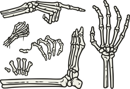 Skeleton hands and leg elements set for halloween design