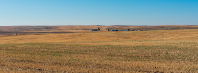 Fototapeta premium Farmland in Washington state, USA after harvesting