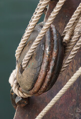 The Old Ship