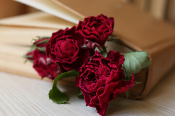 Beautiful dried flowers in book on wooden table, closeup