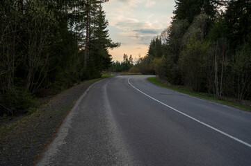 Empty asphalt road in nice peaceful coniferous forest.