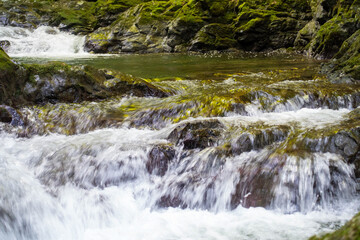 Fototapeta premium 滝壺の後