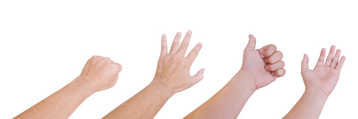 Set of 4 human hand gestures isolated on white background.