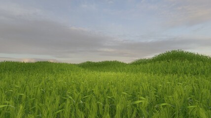 Green field nature landscape scene 3D rendering wallpaper backgrounds