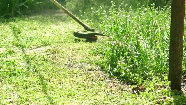 Mowing a grass with electric lawn mower. Garden work concept background. Man mows the grass with hand mower in the garden. Grass cut with lawn mower