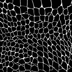 Fototapeta premium Crocodile or alligator skin print pattern seamless. Monochrome leather fashion, wallpaper or background and more.