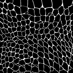 Fototapeta premium Crocodile or alligator skin print pattern seamless. Monochrome leather fashion, wallpaper or background and more.