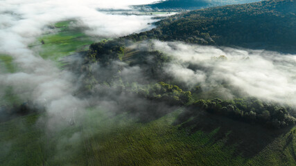 Morning autumn mist over forest seen from above drone shot
