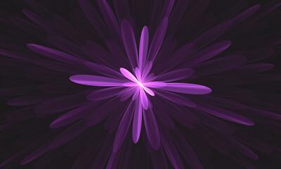 a picture of a purple flower background