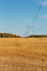 A power line passes through a field with yellow straw against a blue sky. In the background is a bright forest. Landscape of the countryside on a sunny, autumn day.