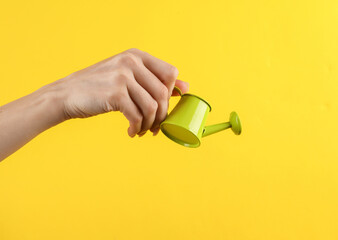 Female hand holding a mini watering can on a yellow background © splitov27