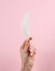 Woman's hand with a beautiful manicure holds a soft feather on a pink pastel background